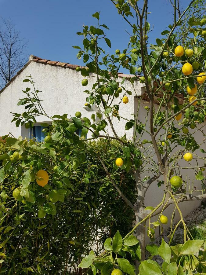 Le Mas De La Calade Bed & Breakfast Aix-en-Provence Exterior photo